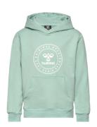 Hummel Hmlcuatro Circle Hoodie Grön