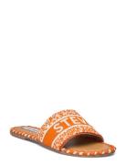 Steve Madden Verah Sandal Orange