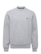 Lacoste Sweatshirts Grå