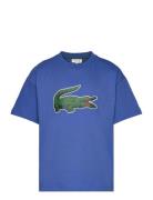 Lacoste Tee-Shirt&Turtle Blå