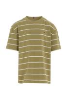 Tommy Hilfiger Stripe Tee S/S Grön