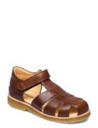 ANGULUS Sandals - Flat - Closed Toe - Brun