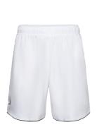 Adidas Performance Club Shorts Vit