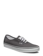 VANS Ua Authentic Svart