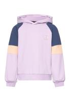 Hummel Hmlelly Hoodie Lila