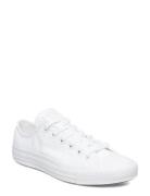 Converse Chuck Taylor All Star Seasonal Vit