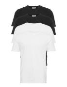 Lindbergh 4Pk Basic Tee S/S