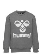 Hummel Hmldos Sweatshirt Grå