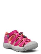 KEEN Ke Newport H2 C Berry-Fusion  Rosa