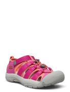 KEEN Ke Newport H2 Y Berry-Fusion  Rosa