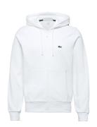 Lacoste Sweatshirts Vit