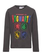 Harry Potter Long-Sleeved T-Shirt Grå