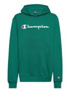 Champion Hooded Sweatshirt Grön