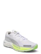 PUMA Velocity Nitro 2 Wns Vit