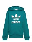 Adidas Originals Trefoil Hoodie Grön