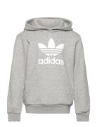 Adidas Originals Trefoil Hoodie Grå