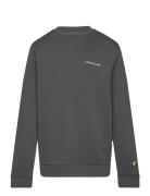 Lyle & Scott Script Crew Neck Sweatshirt Grå