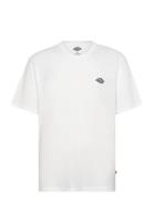 Dickies M Summerdale Ss Tee Vit