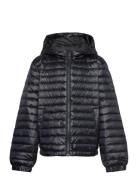 GANT Shiny Light Padded Down Jacket Svart