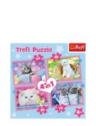 Trefl Trefl 4 I 1 35+48+54+70 Bit Fun Cats Multi/patterned