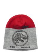 Jurassic World Bonnet Grå