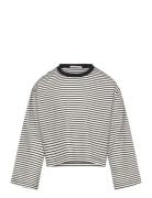 Tom Tailor Cropped Striped Longsleeve Grå