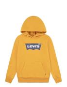 Levi's Levi's® Screenprint Batwing Pullover Hoodie Gul