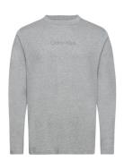 Calvin Klein L/S Crew Neck Grå