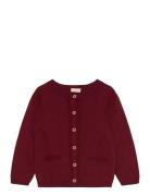 Fixoni Cardigan Knit Burgundy