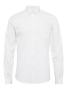 Lindbergh Small Collar, Tailor Fit Cotton Shi Vit