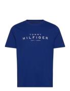 Tommy Hilfiger Big Hilfiger Tee Blå