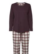 Lady Avenue Cotton Flannel Pyjamas Burgundy