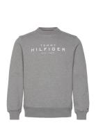 Tommy Hilfiger Tommy Hilfiger Sweatshirt Grå