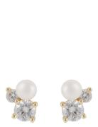 SNÖ Of Sweden Mayfair Small Irregular Pearl Ear G/White - Guld