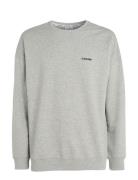 Calvin Klein L/S Sweatshirt Grå