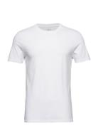 GAP 100% Organic Cotton Classic T-Shirt Vit