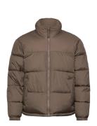 Hollister Hco. Guys Ytterkläder Brun