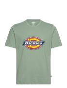 Dickies M Icon Logo Tee Grön