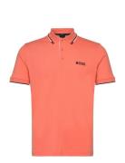 BOSS Paddy Pro Korall