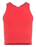 THE ANIMALS OBSERVATORY Hyena Kid Tank Top Red Röd