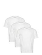 Abercrombie & Fitch Anf Mens Knits Vit