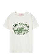 THE ANIMALS OBSERVATORY Rooster Kid T-Shirt White Logo Beige