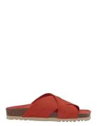 Scholl Sl Vivian Suede Red Röd