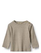 Wheat T-Shirt L/S Milo Grå