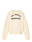 THE ANIMALS OBSERVATORY Shark Kid Sweatshirt White Logo Kräm