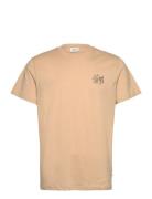 Solid Sdpax Beige