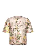 A-View Fuschia Blouse Rosa