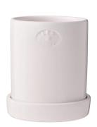 Lexington Home Terracotta Plant Pot Vit