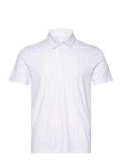 Abercrombie & Fitch Anf Mens Knits Vit