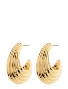 Pilgrim Asle Earrings Guld